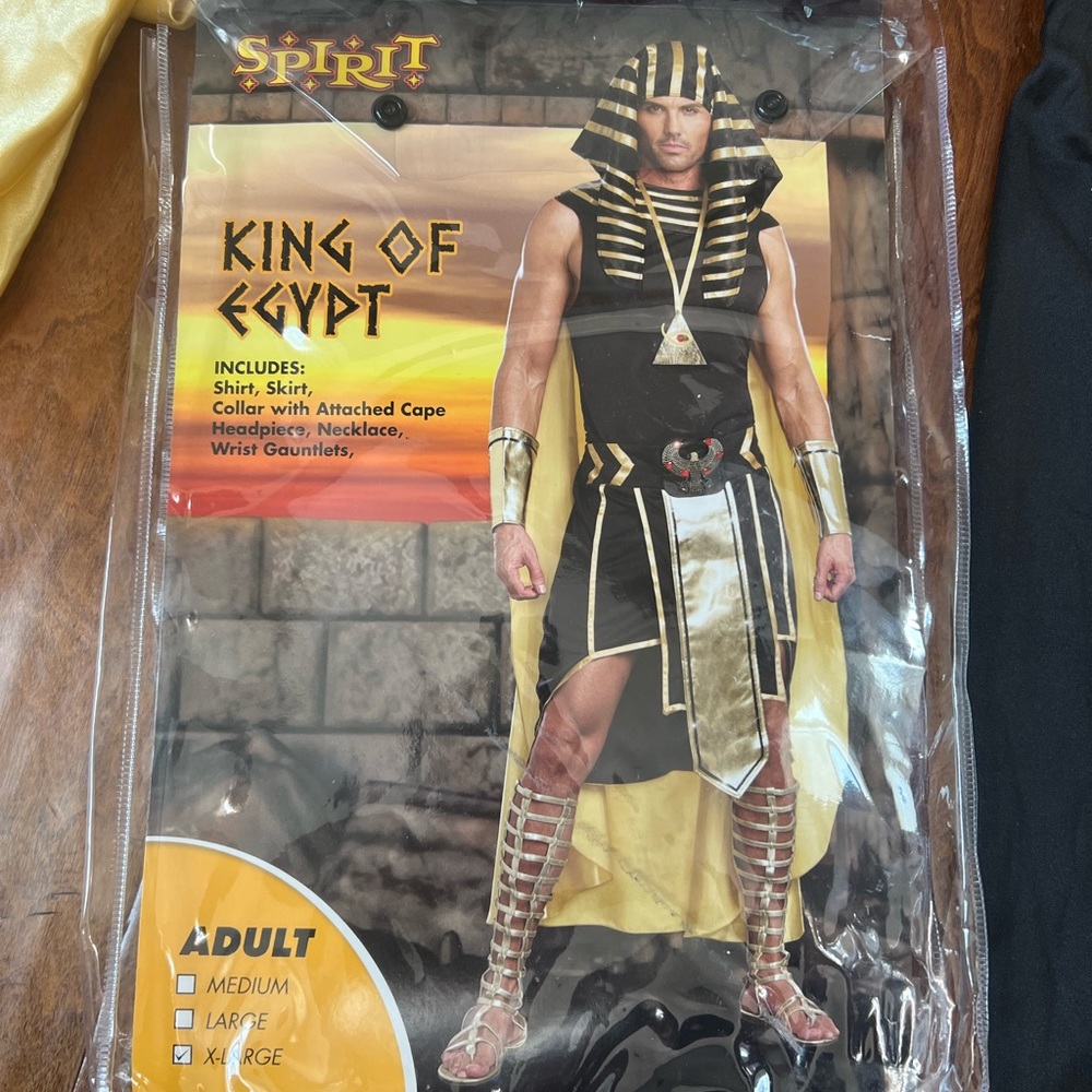 Halloween costume King of Egypt King Tut